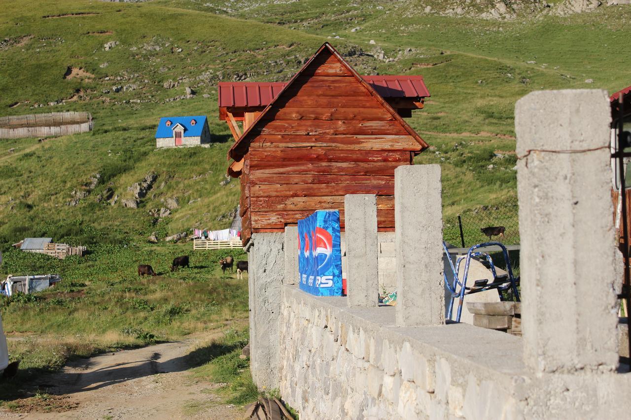 Rural Household Minic - Kapetanovo Jezero Vandrerhjem Kolašin Eksteriør bilde